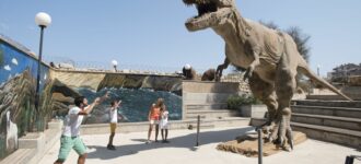 Discover the Wonders of the Natural History Museum of Crete