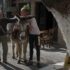 Two elder people having a chat and petting a donkey