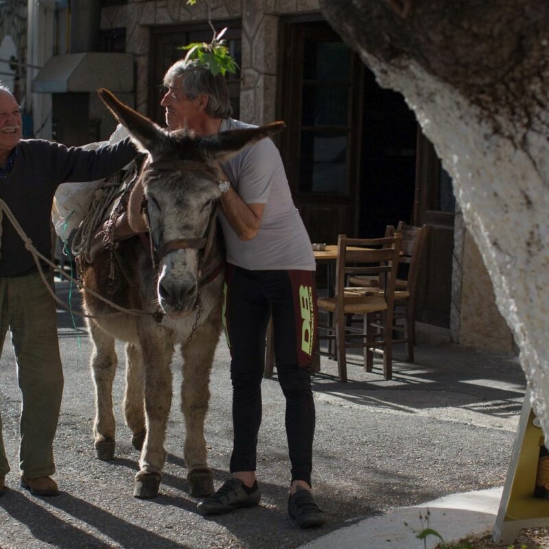 Discover the Wonders of the Natural History Museum of Crete - Blog ...