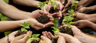 Sustainable Tourism & Eco-Friendly Practices in Cretan Hospitality