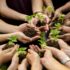 Group of volunteer with sprout for growing